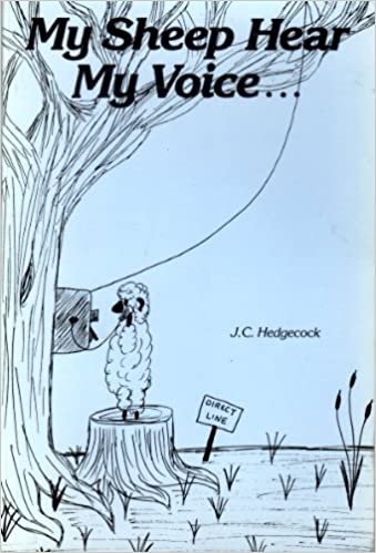 Cover of My Sheep Hear My Voice